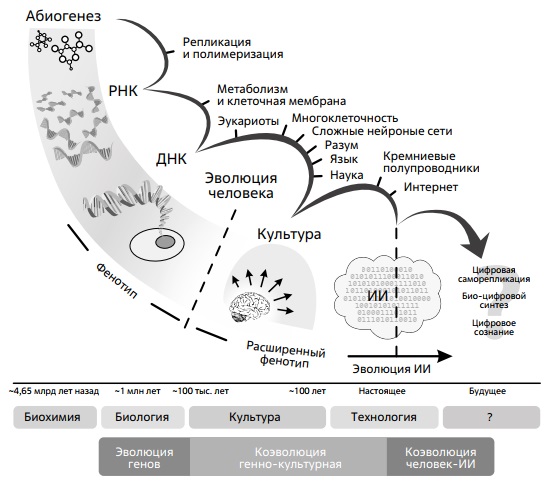 Биологическая эволюция что происходило. Биологическая Эволюция. Биологическая Эволюция схема. Общество человек как продукт биологической эволюции. Гипотеза коэволюции вирусов.
